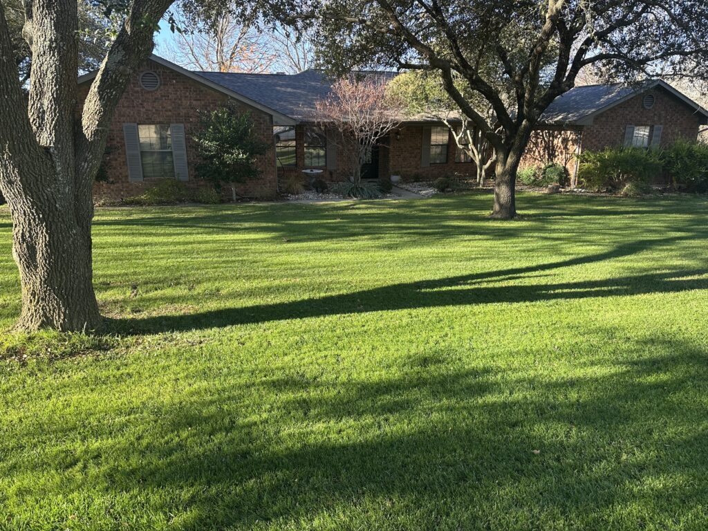 Well-maintained residential lawn in Sherman, TX with lush green grass and mature trees, showcasing professional lawn care by Yard Doctor.