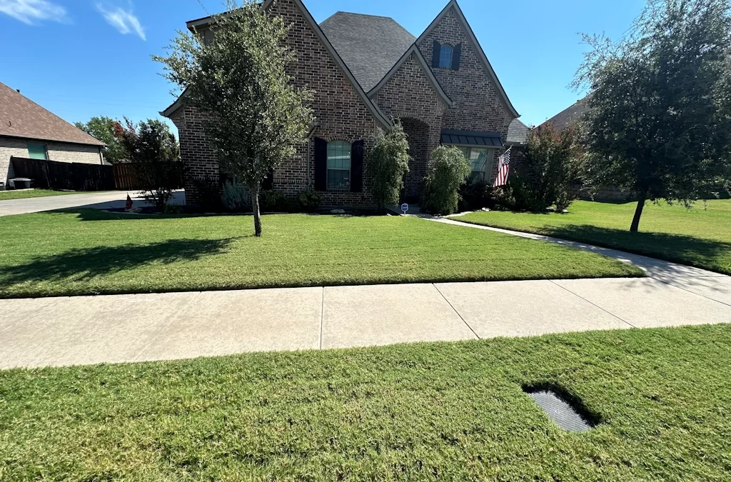 Spring Lawn Checklist for Sherman & Texoma: 7 Steps for a Thicker, Greener Lawn