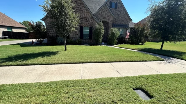 Spring Lawn Checklist for Sherman & Texoma: 7 Steps for a Thicker, Greener Lawn