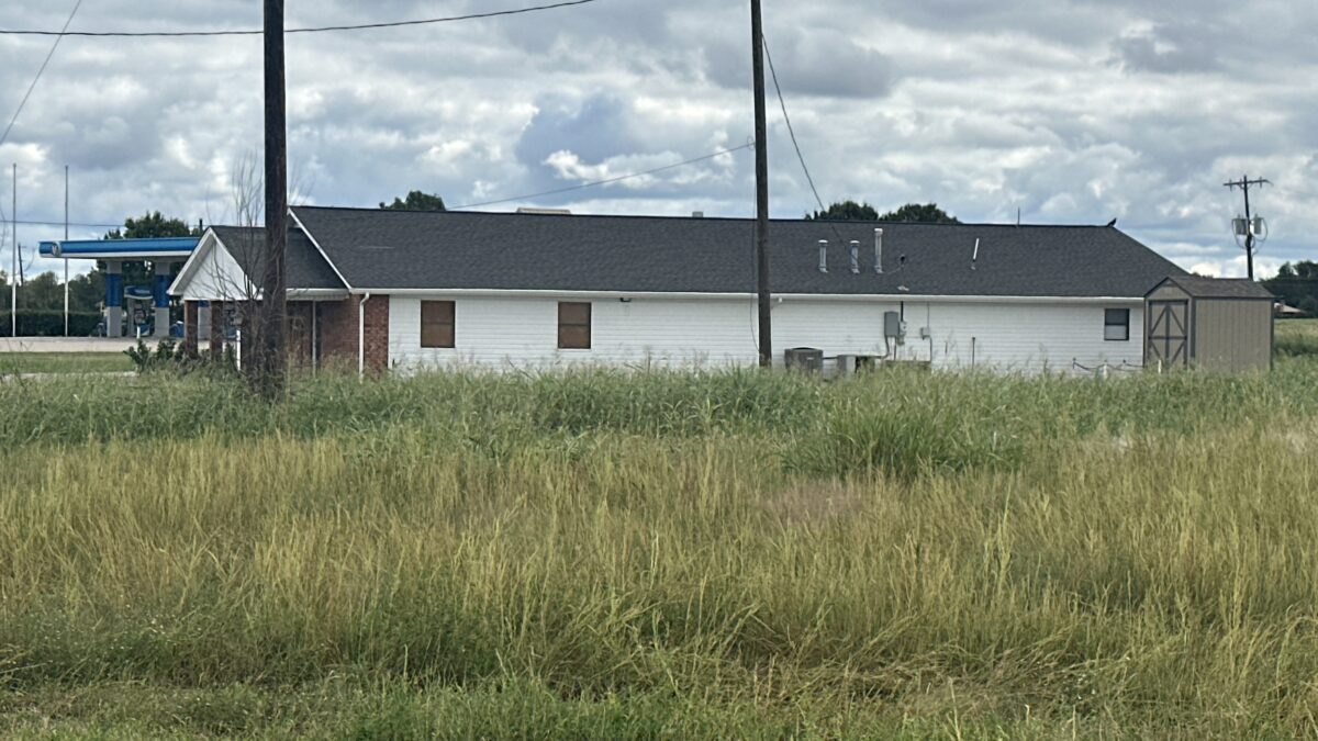 Common Weeds in North Texas Lawns (And How to Control Them)