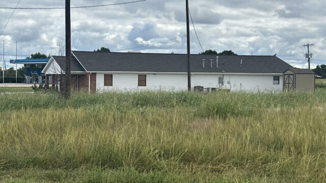 Common Weeds in North Texas Lawns (And How to Control Them)