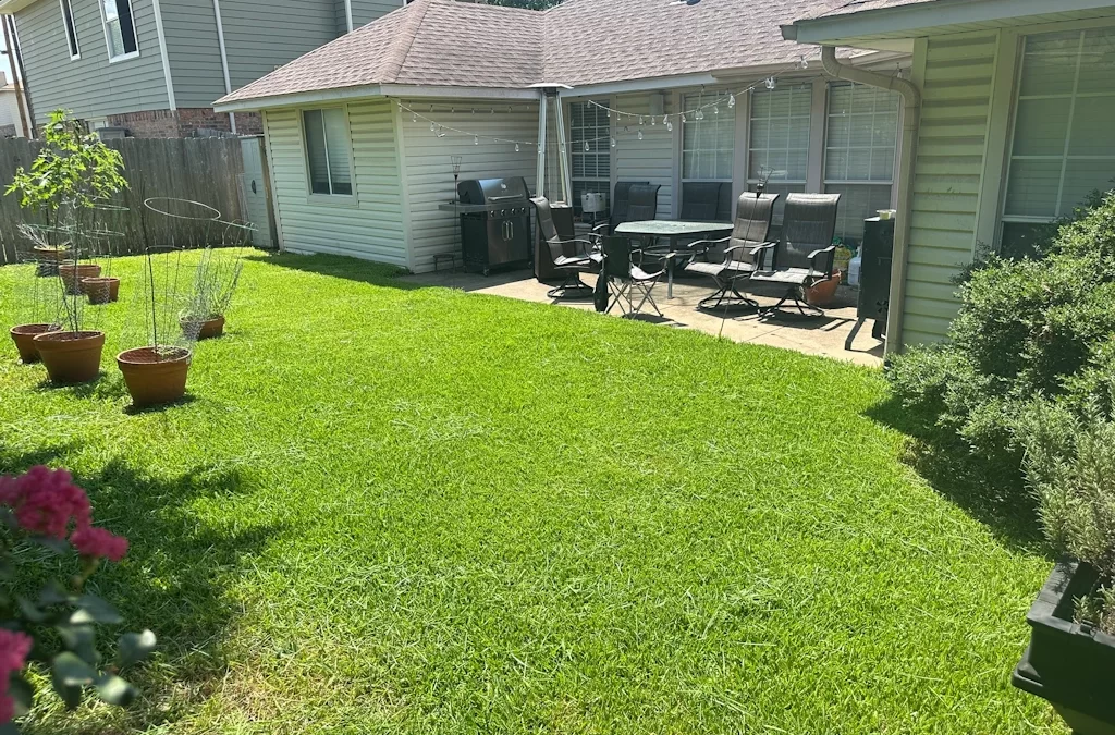 How Often Should You Fertilize Lawns in North Texas?