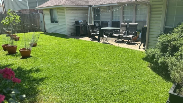 How Often Should You Fertilize Lawns in North Texas?