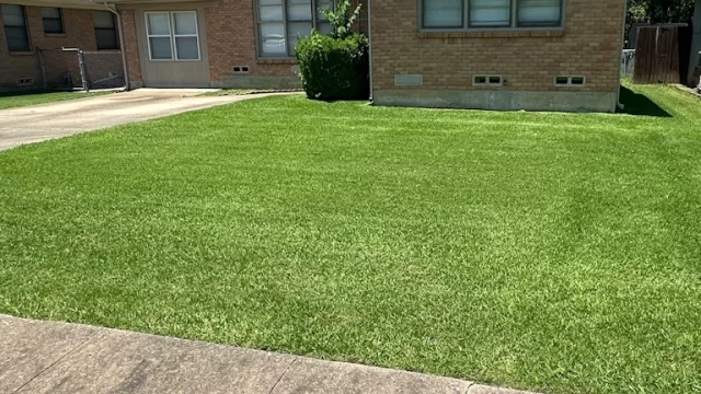 Why Spring Lawn Mowing Height Matters in North Texas