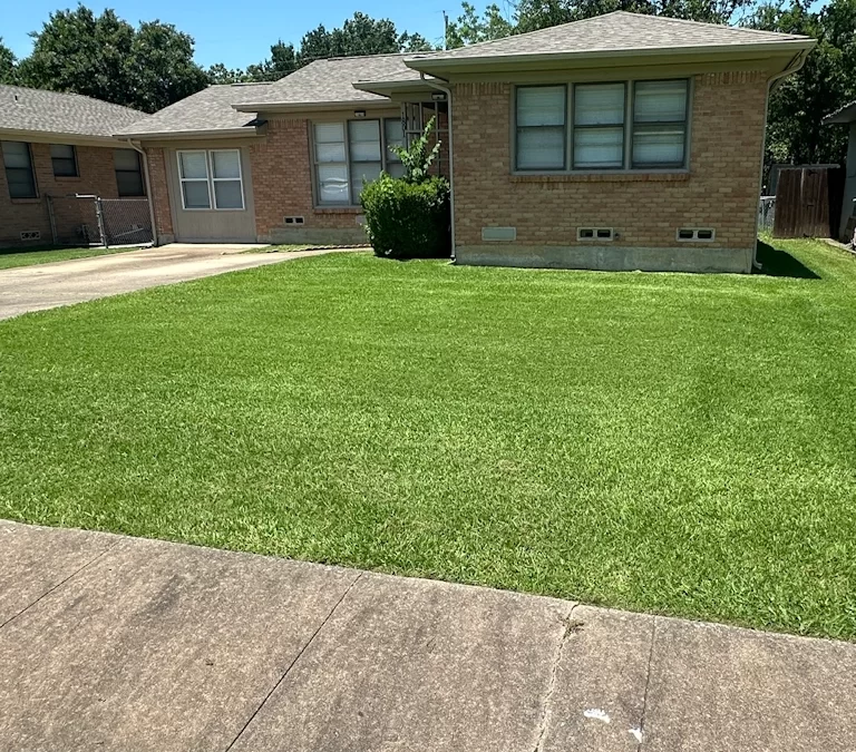 Why Spring Lawn Mowing Height Matters in North Texas