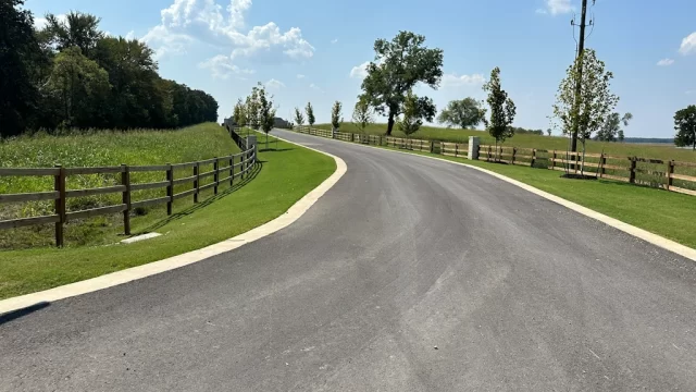 How Pre-Emergent Weed Control Protects Your Lawn Year-Round