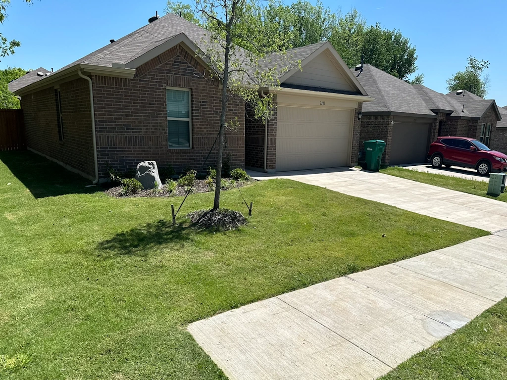 Weed control and fertilization service for a residential lawn in Howe TX by Yard Doctor