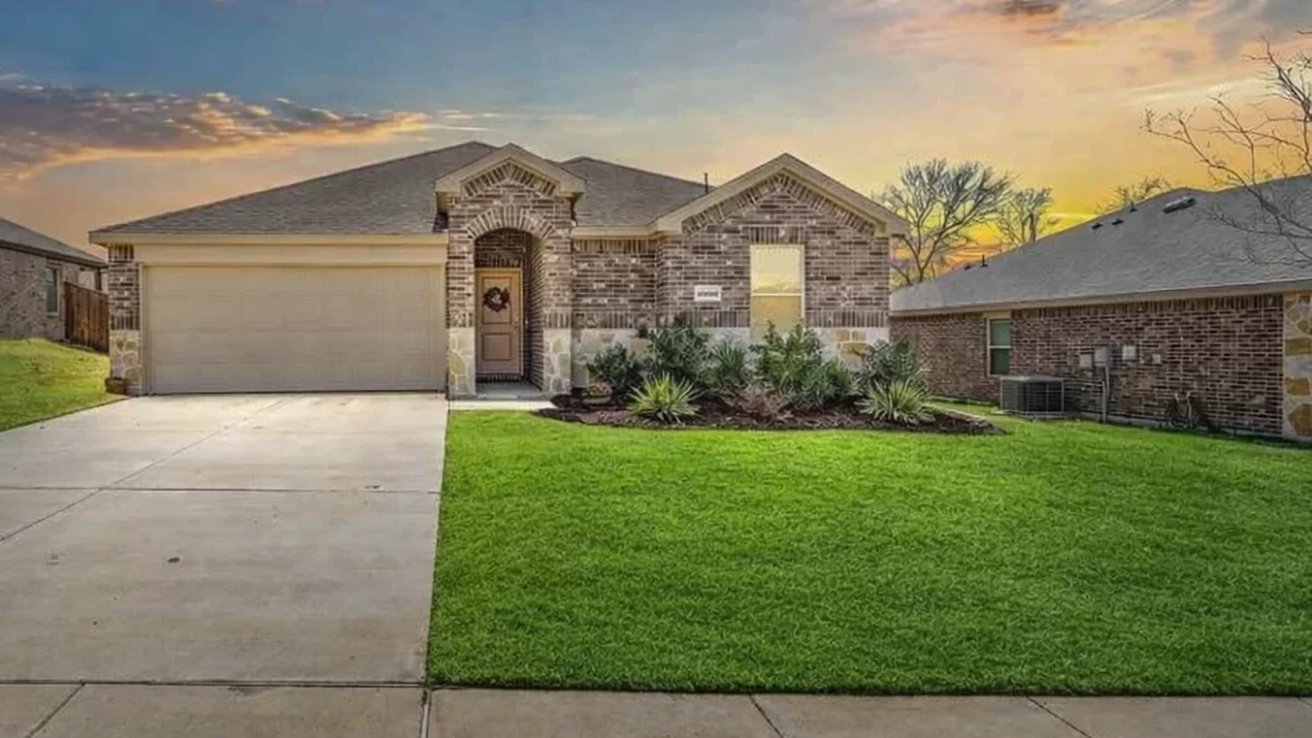 Why Early Spring Lawn Care Sets the Tone for the Entire Season