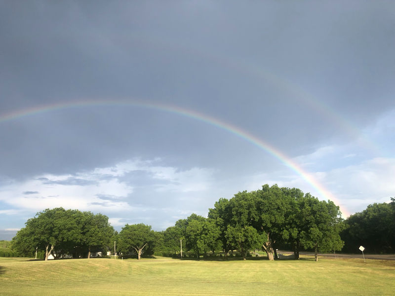 How Much Should You Water Your Lawn in Spring in North Texas?