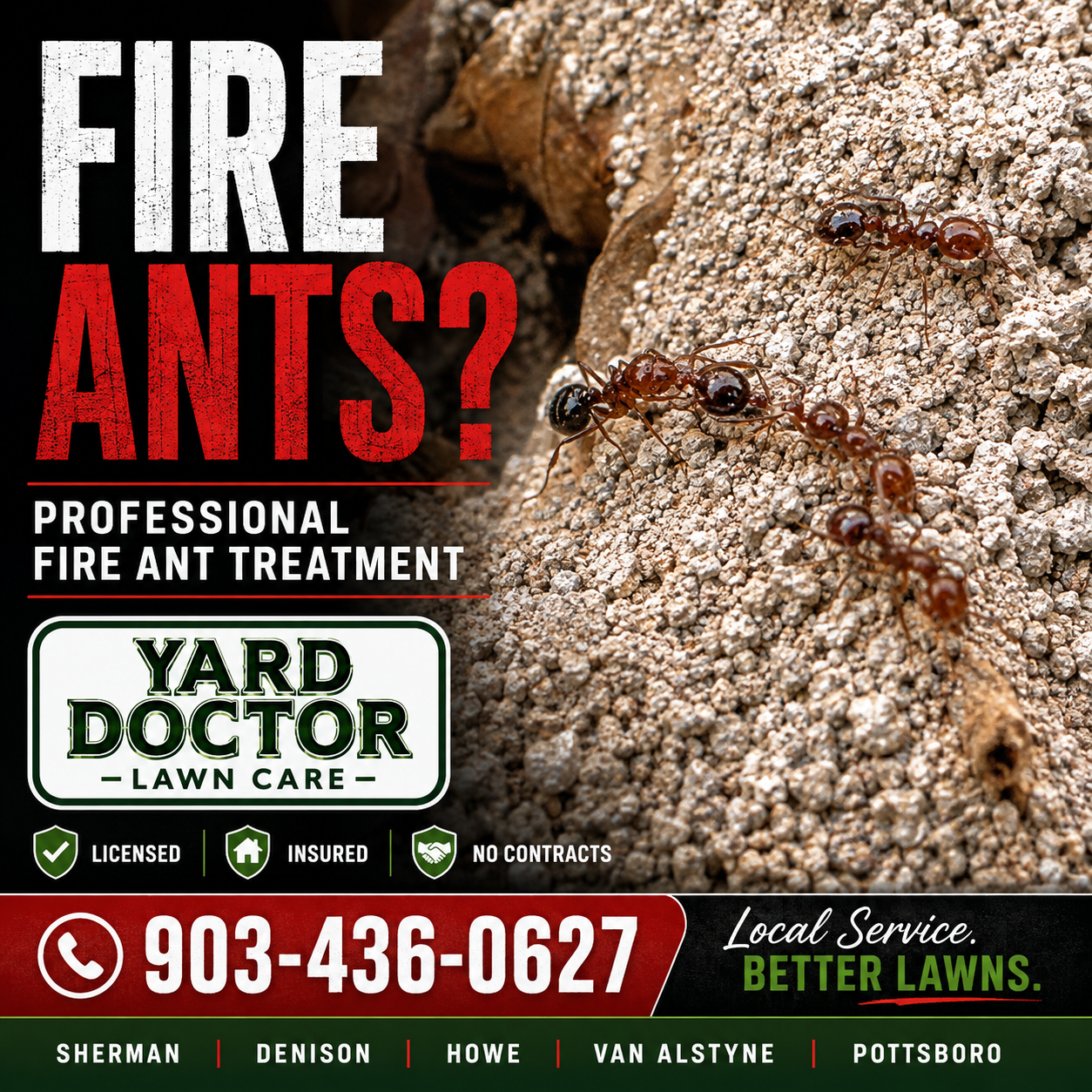 Professional fire ant treatment by Yard Doctor Lawn Care in North Texas
