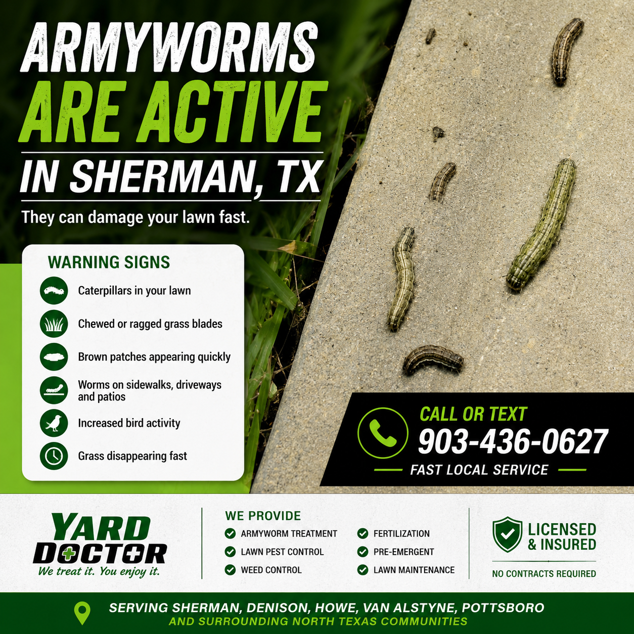 Armyworms active in Sherman TX lawn with warning signs